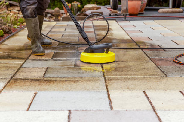 Best Animal Enclosure Cleaning  in Normal, IL
